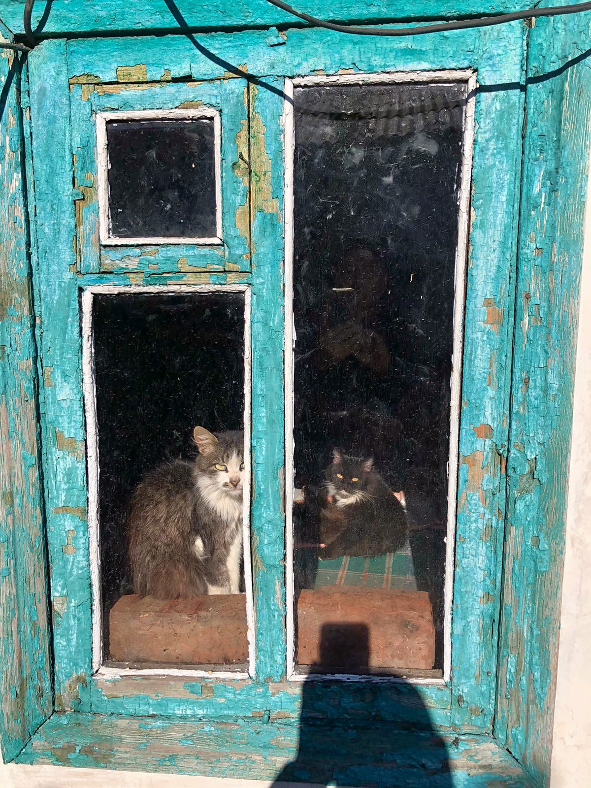 Image credit: Aid Ukraine UK