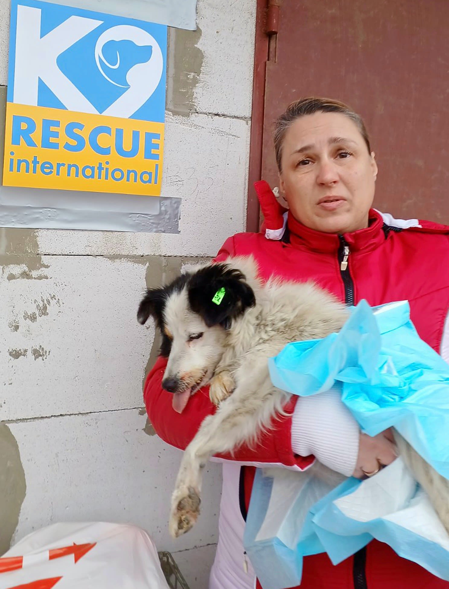 An owner comforts her dog post-spay, sterilised under K9 Rescue's 'spray's for low income families' initiative. Image credit: K9 Rescue International