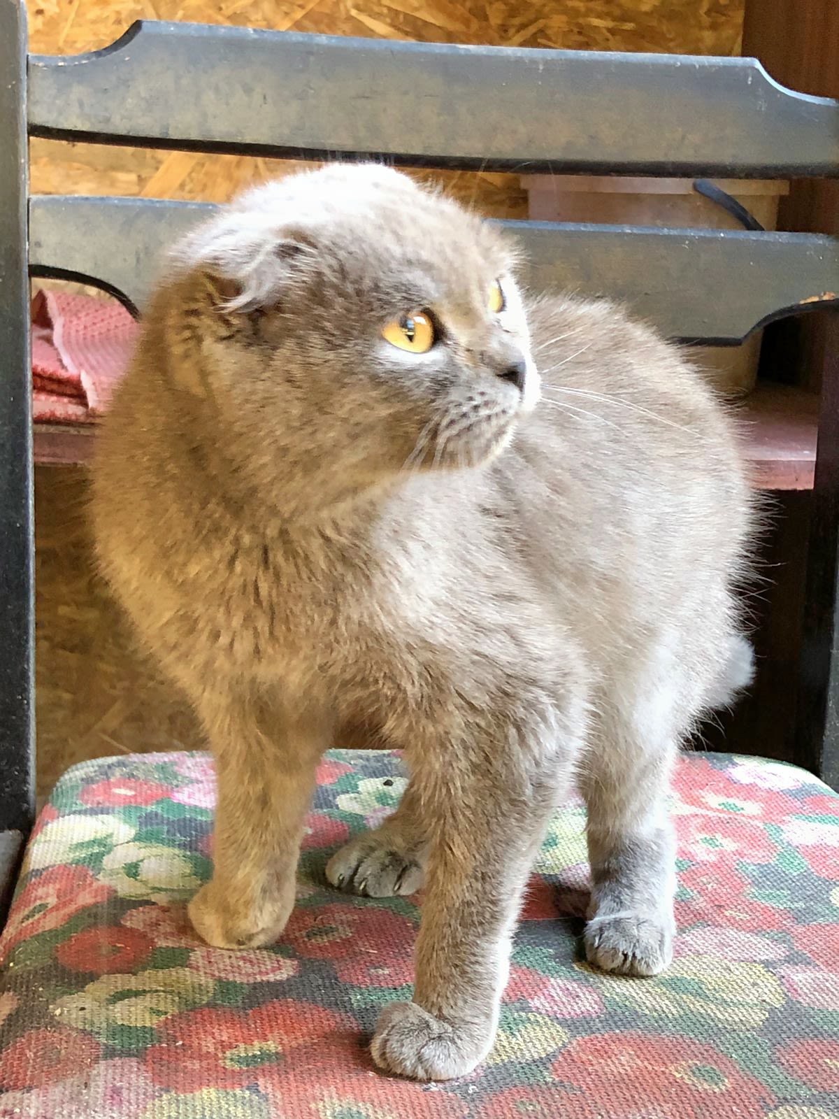 Image credit: Aid Ukraine UK