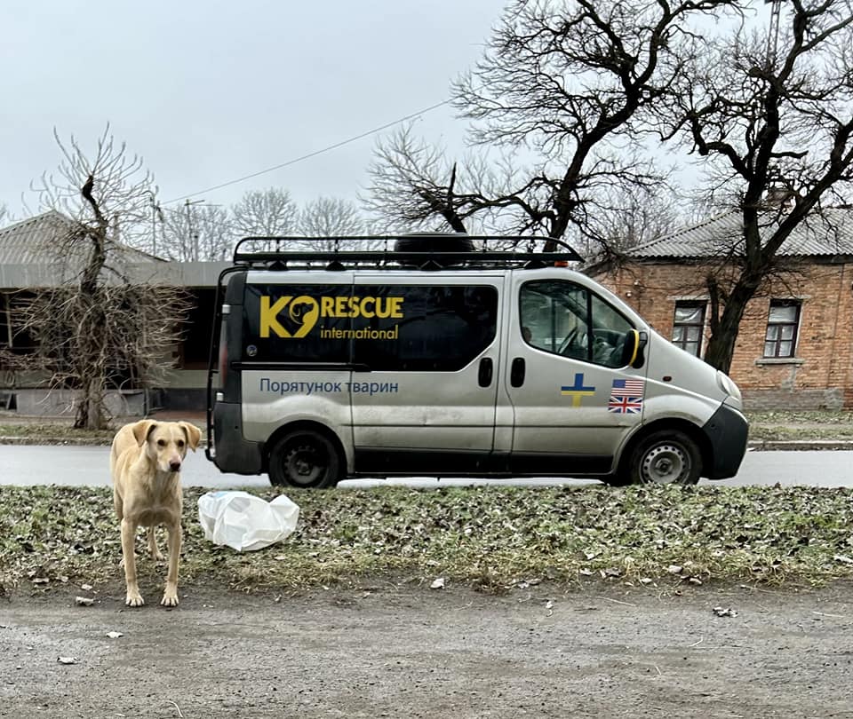 Image credit: K9 Rescue International