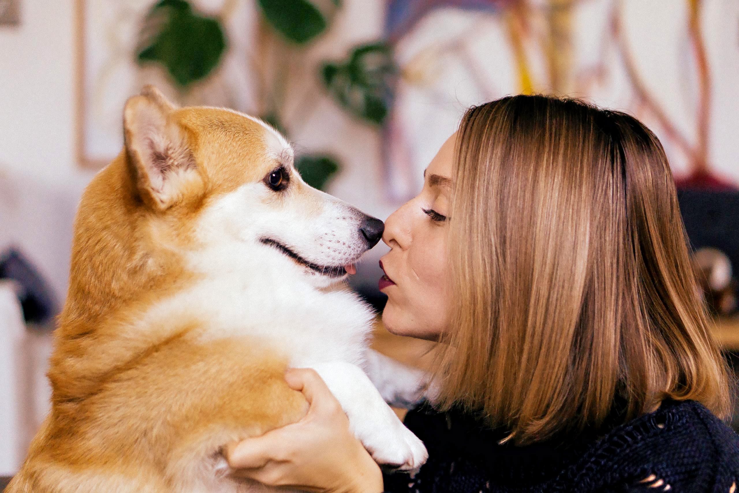 Image credit: Diana Kocheva