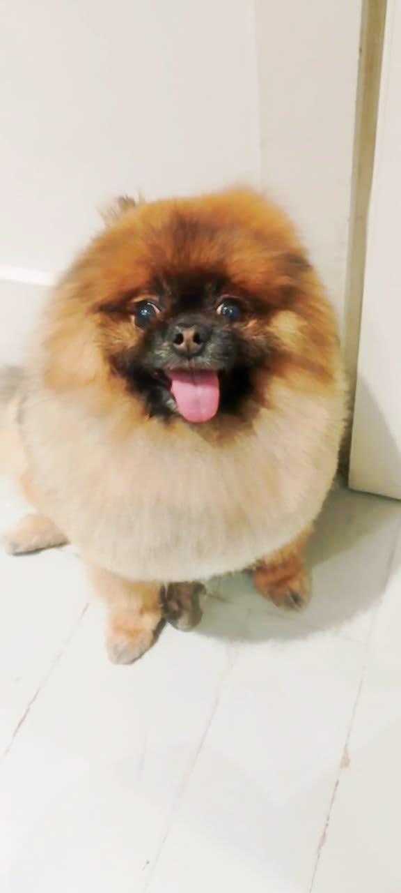 Image credit: Olena Gushul 