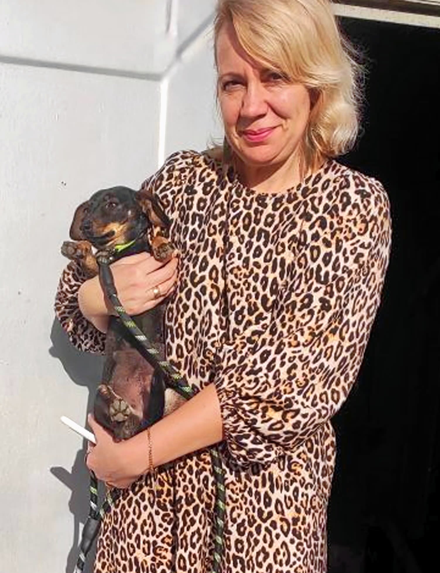 Found in an industrial zone, tiny Tsybul'ka (Little Onion), was clearly no stray and was adopted the moment she was spayed. Image credit: K9 Rescue International